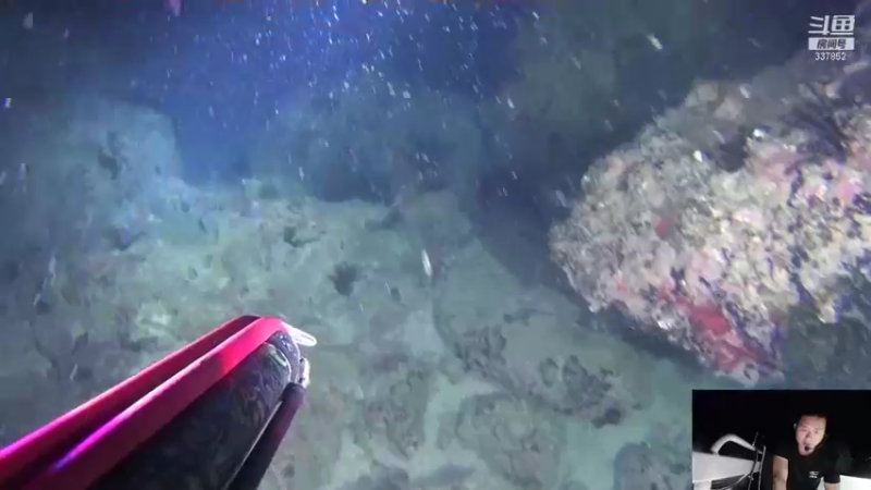 【2021-12-16 22点场】洪湖小肖：海底直播的第五天