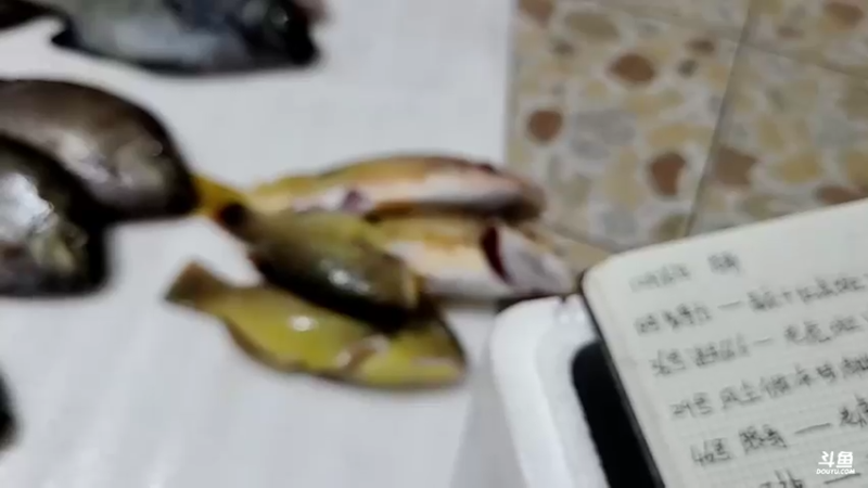 【2021-12-17 00点场】洪湖小肖：海底直播的第五天