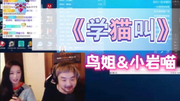 【K歌达人】小岩喵&鸟姐演唱《学猫叫》Cover 冯提莫 这就是卢！3DM总监