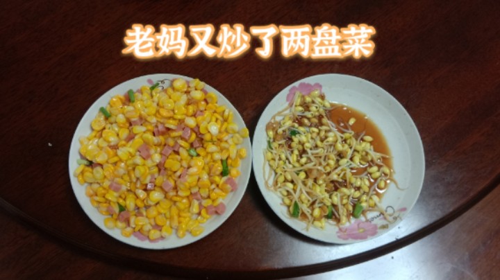 老妈中午又炒好了两盘菜，有玉米火腿肠和炒豆芽，我吃了两碗饭，感觉还不错