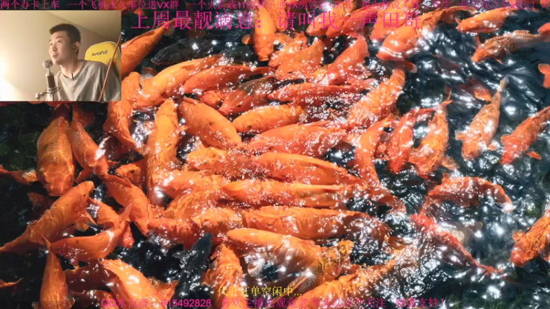 【2021-12-16 17点场】主播世贤：今天打步战~