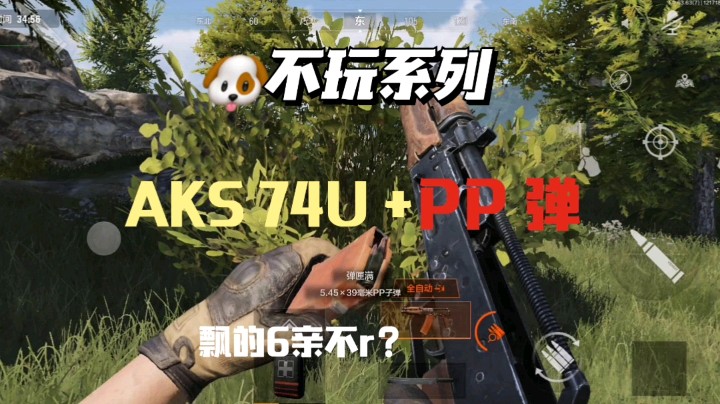 【暗区突围】G不玩系列——AKS 74U+PP弹，飘的6亲不r?