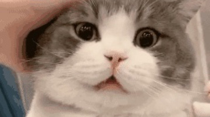 笑死