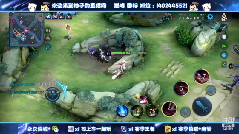 【2021-12-16 21点场】毕竟是柚子：来自国一阿珂的巅峰赛