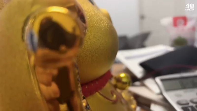 【2021-12-17 16点场】主播温州炮哥：聊天直播间 85963