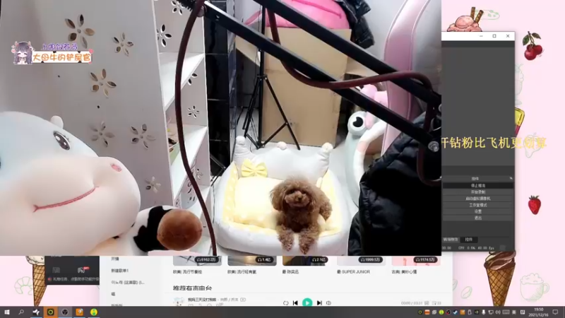 【2021-12-16 19点场】宋温柔爱吃鸡：宋温柔 ：快乐搞笑逗比的牛牛