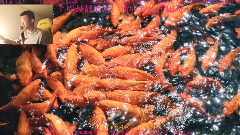 【2021-12-16 15点场】主播世贤：今天打步战~
