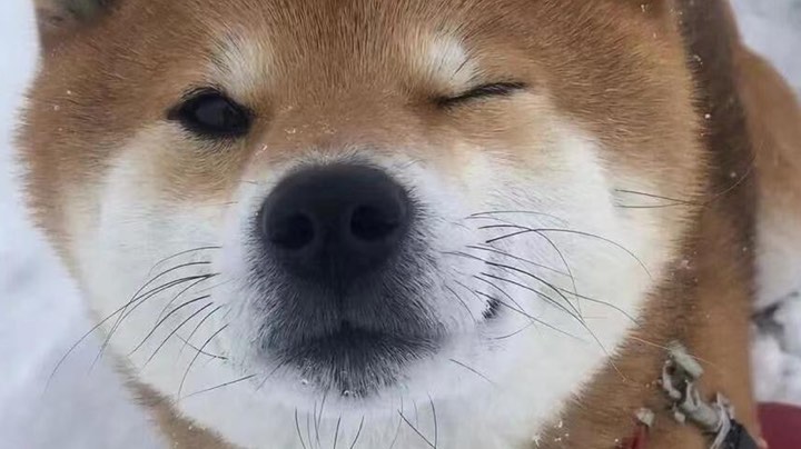 .