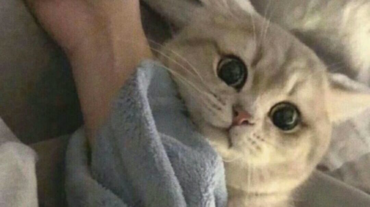 cf手游