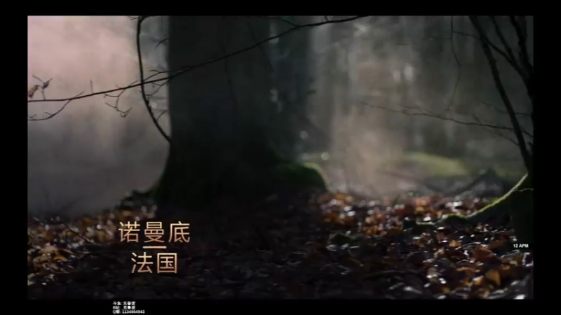 【帝国时代4】诺曼战役最高难度实录 | 第一次林肯战役