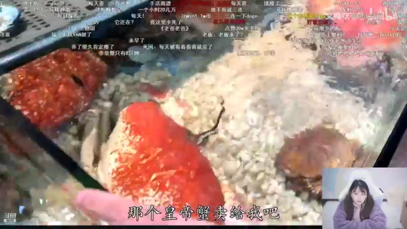 【2021-12-18 01点场】萌面酥：今天又是上不去大师的一天┭┮﹏┭┮