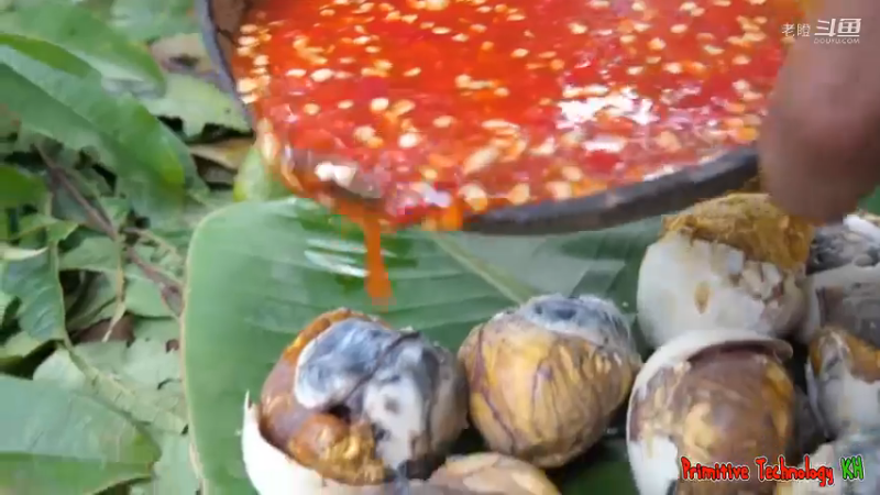 12-在丛林中烹制蛋鸭当食物