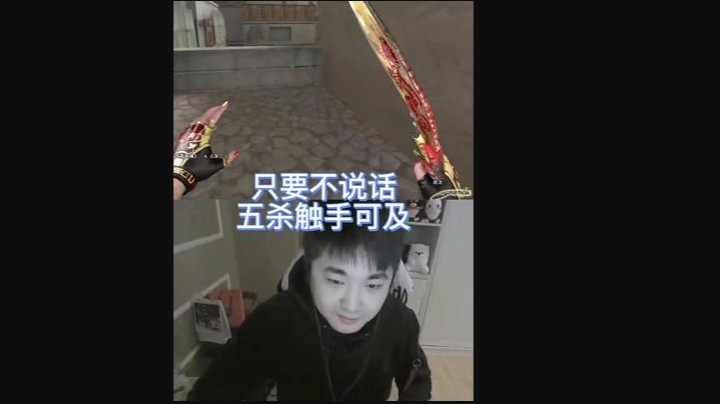 只要认真不说话，五杀就像开WG！
