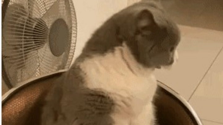 来个队友一起阴人
