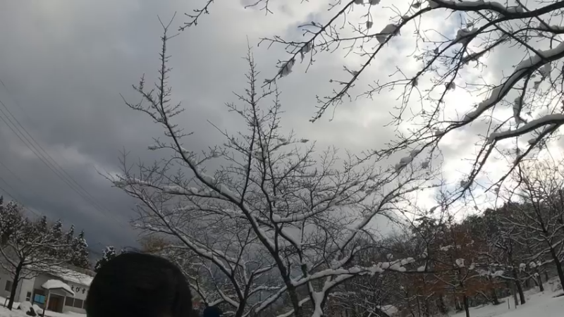 【2021-12-19 12点场】西贝2018：菜腿自驾京都美山闲逛拍雪景