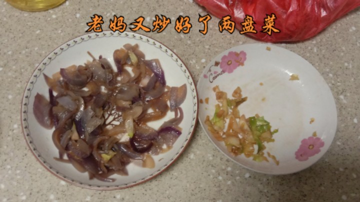 老妈傍晚又炒好了两盘菜，有炒洋葱和炒包心菜，凌晨我又吃了一碗