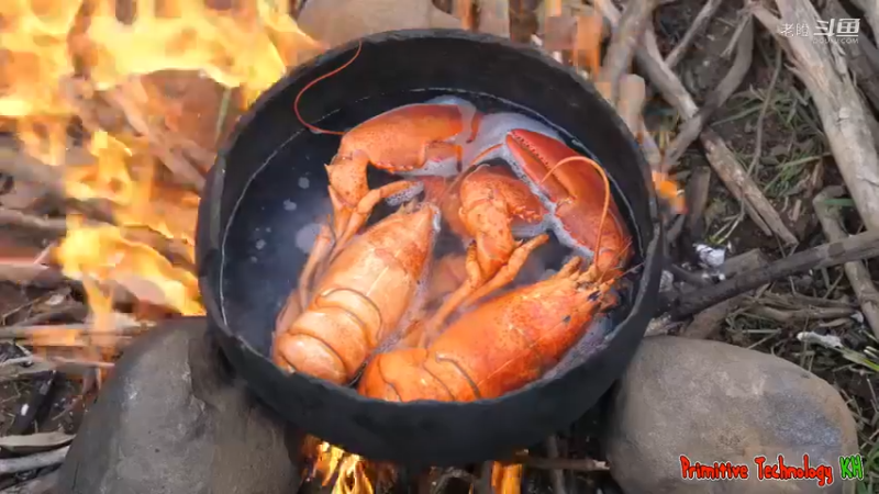 9-丛林里煮龙虾当食物