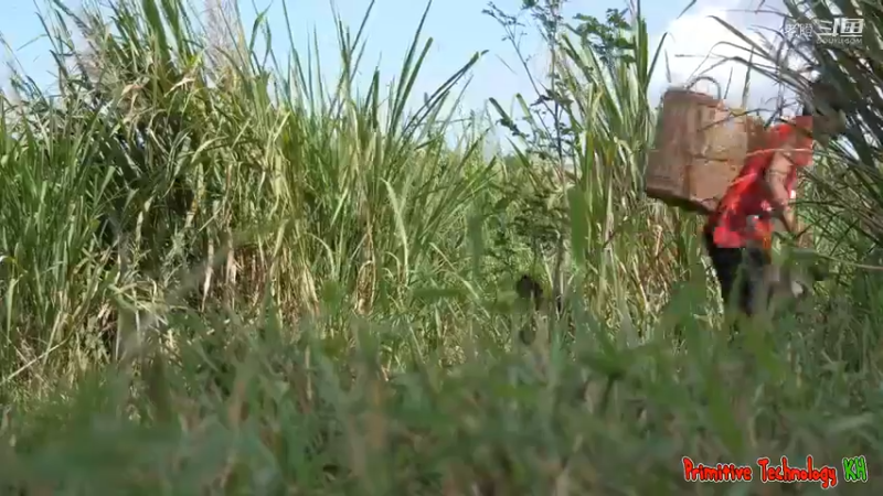 17-吃的美味-在丛林里用西红柿煮鸡肝