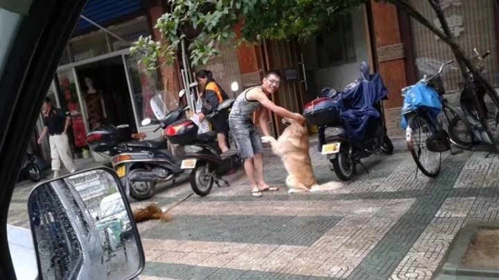小周哥哥狼人杀和生活趣事直播视频(第一季第十集下)