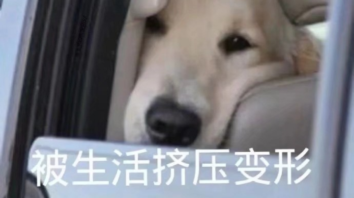 还不去复习