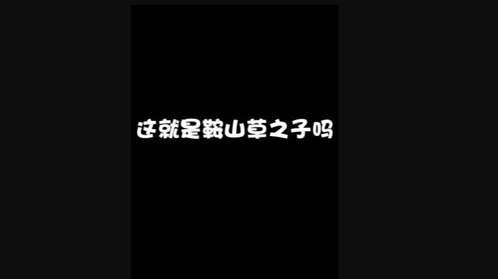 鞍山绿叶侠无限隐身怎么说