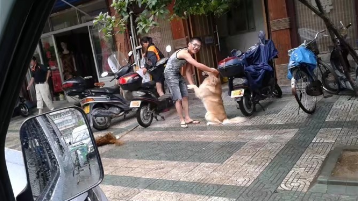 小周哥哥狼人杀和生活趣事的直播视频（第一季第十集上）
