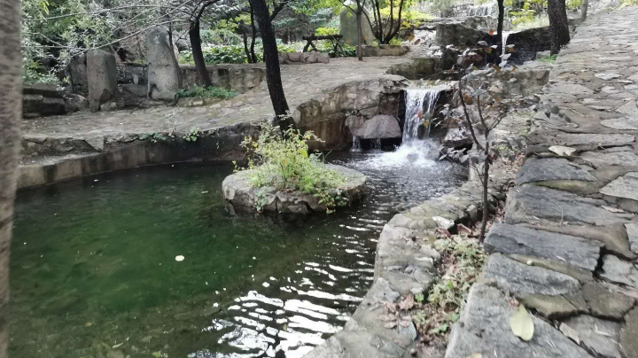 各加山汝蓝