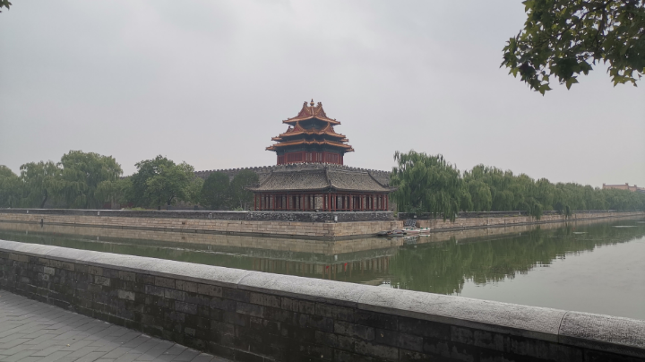 娱乐