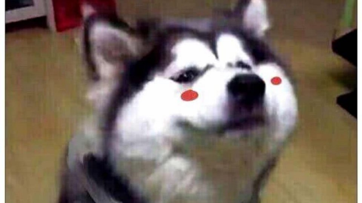 正义阿sir的一天