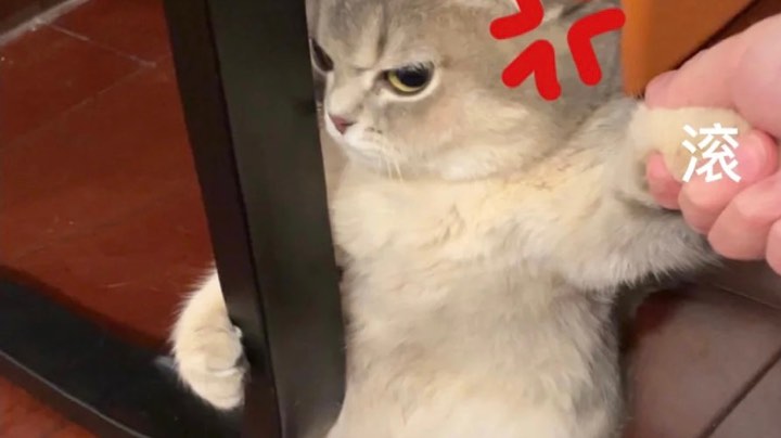 好无