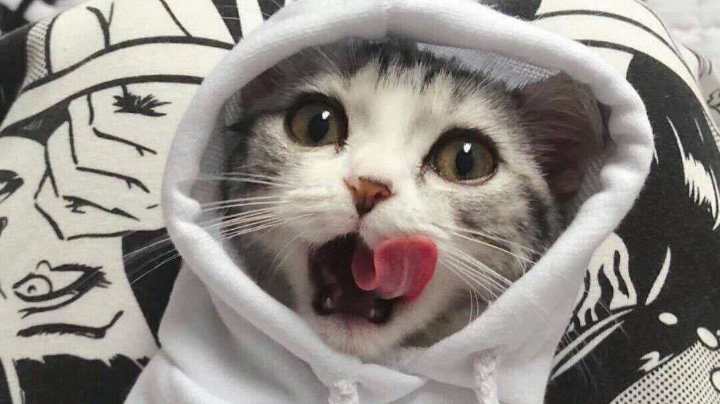 。