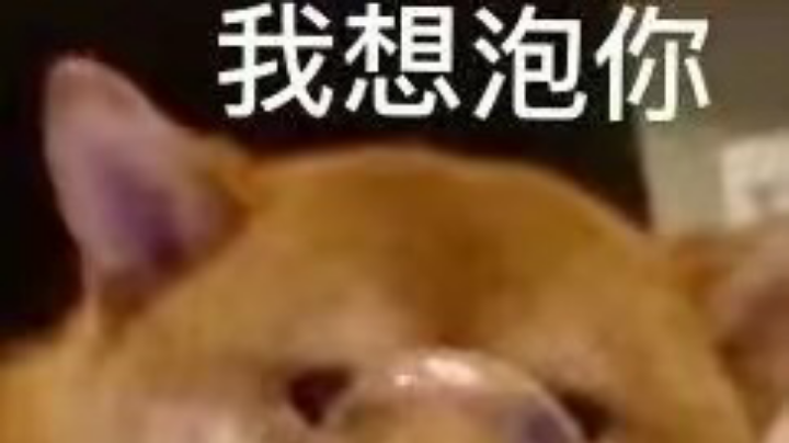 燎原百斩