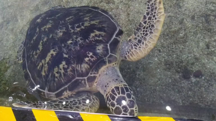 啥内容我自己都记不得了