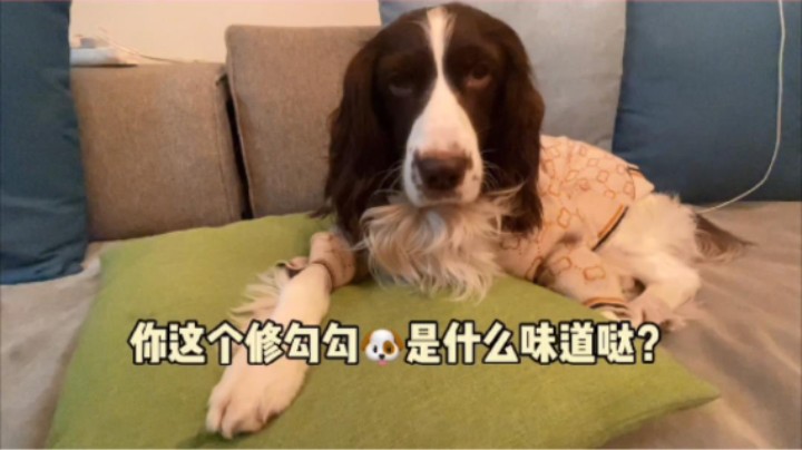 哎！没办法！只好明年冬至节再请大家吃肉汤了！哈哈哈哈哈