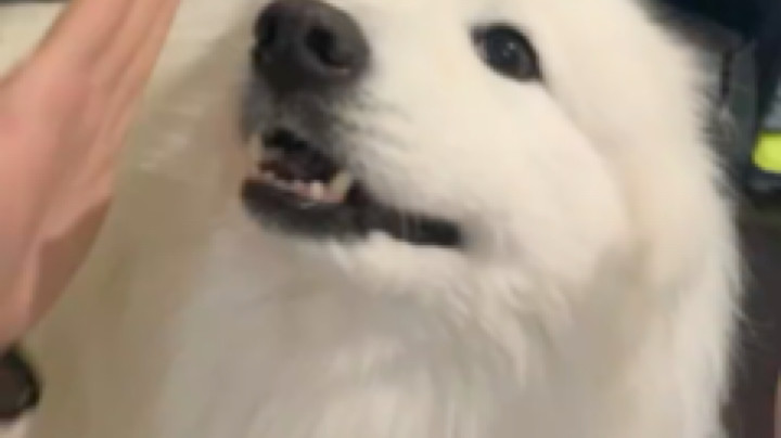 哈哈哈哈哈，开开心心没有脑袋