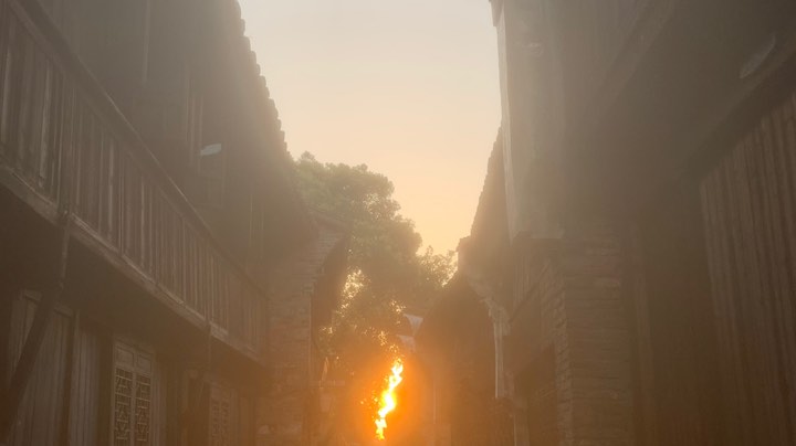 1222直播回看