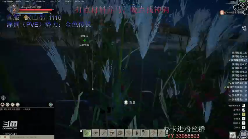 【2021-12-21 22点场】755就是我：驯马育马走流程