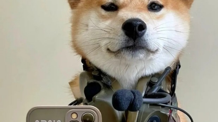 。。