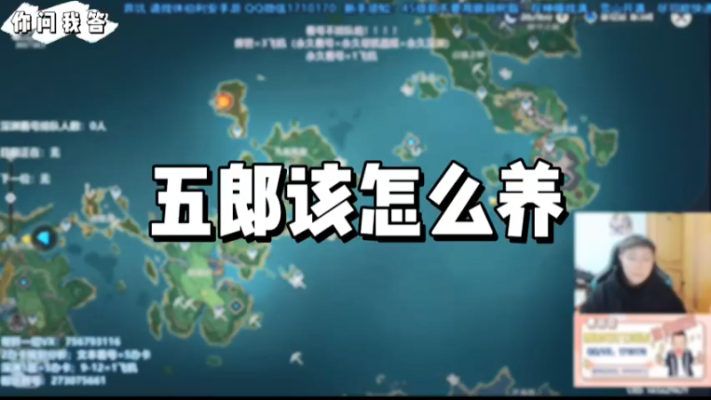【原神】你问我答-五郎该怎么养