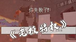 我用一下特权怎么了？有问题吗？