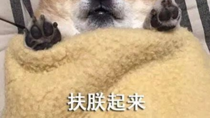 S6赛季建将