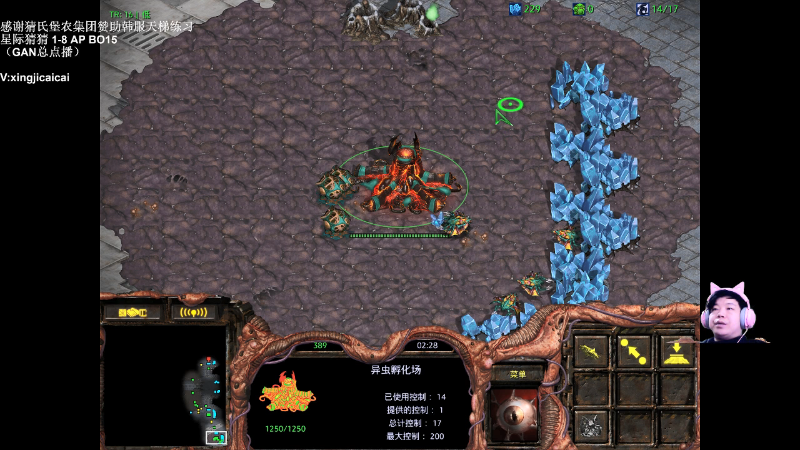 【星际争霸】星际猜猜的精彩时刻 20211224 00点场