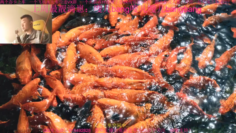 【2021-12-22 22点场】主播世贤：世贤正能量~