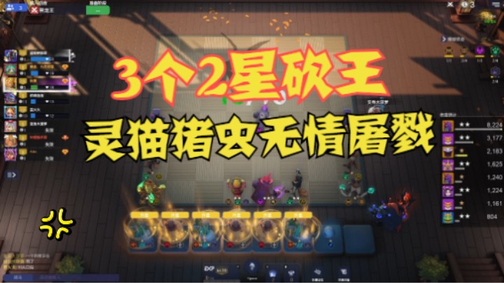 灵猫猪虫——3个2星砍王！3个两星狐狸！砍起来六亲不认