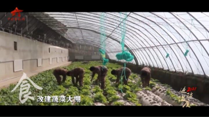 【第一军视】这个冬天，边防官兵过得格外温暖