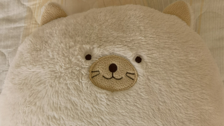 新人主播下饭录像