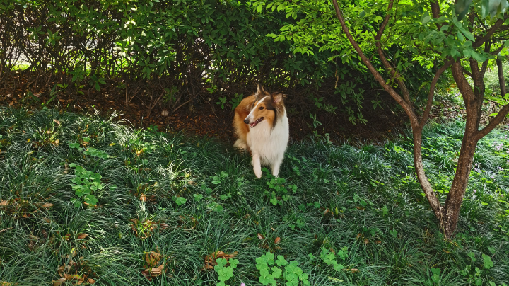 冲龙啊。。。。