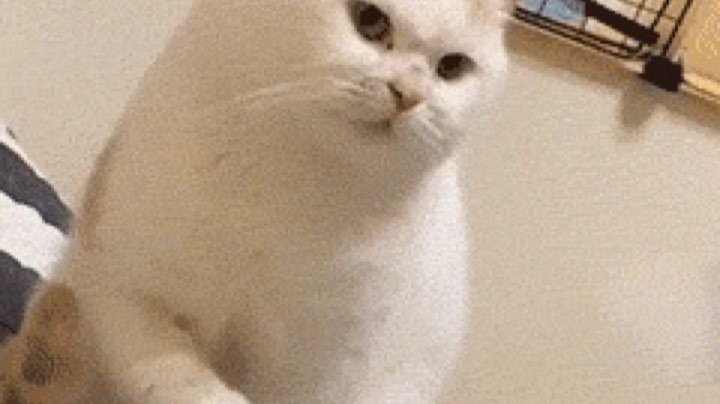 888