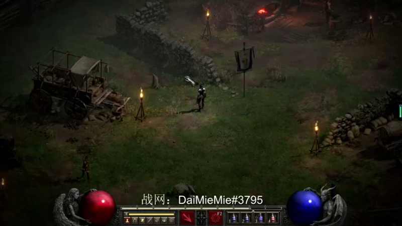 暗黑2重置版陷阱刺客-007