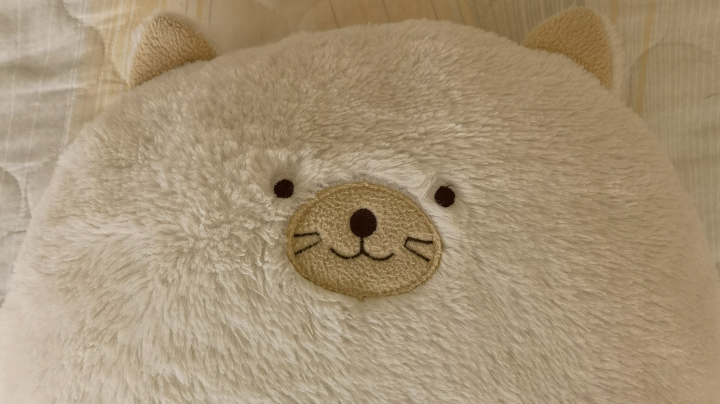 新人主播下饭录像